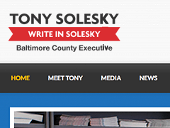 web design county candidate