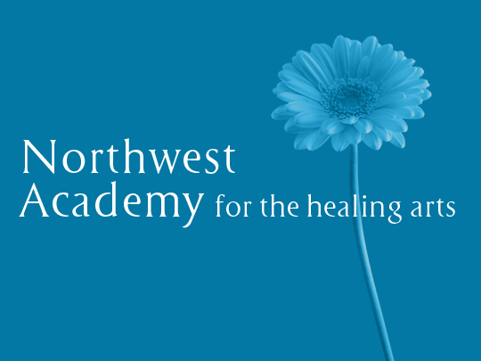 logo design northwest academy