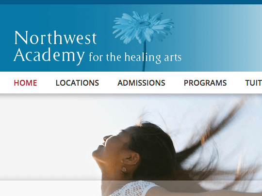 Web Design - Massage School